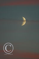Crescent moon at dusk.